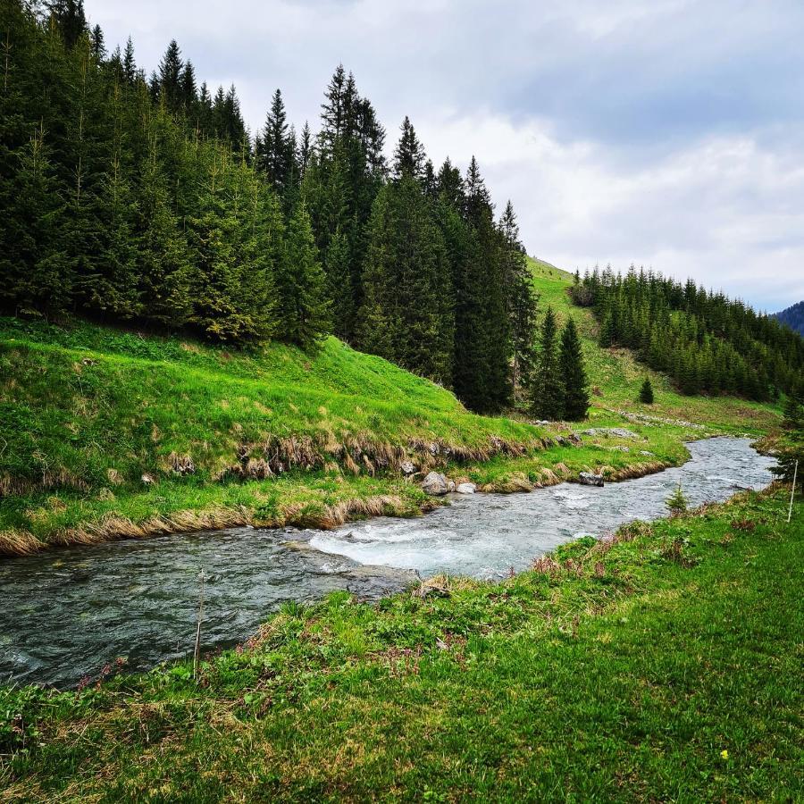 D'rock Arosa- Center Of Nightlife By Nature Switzerland *