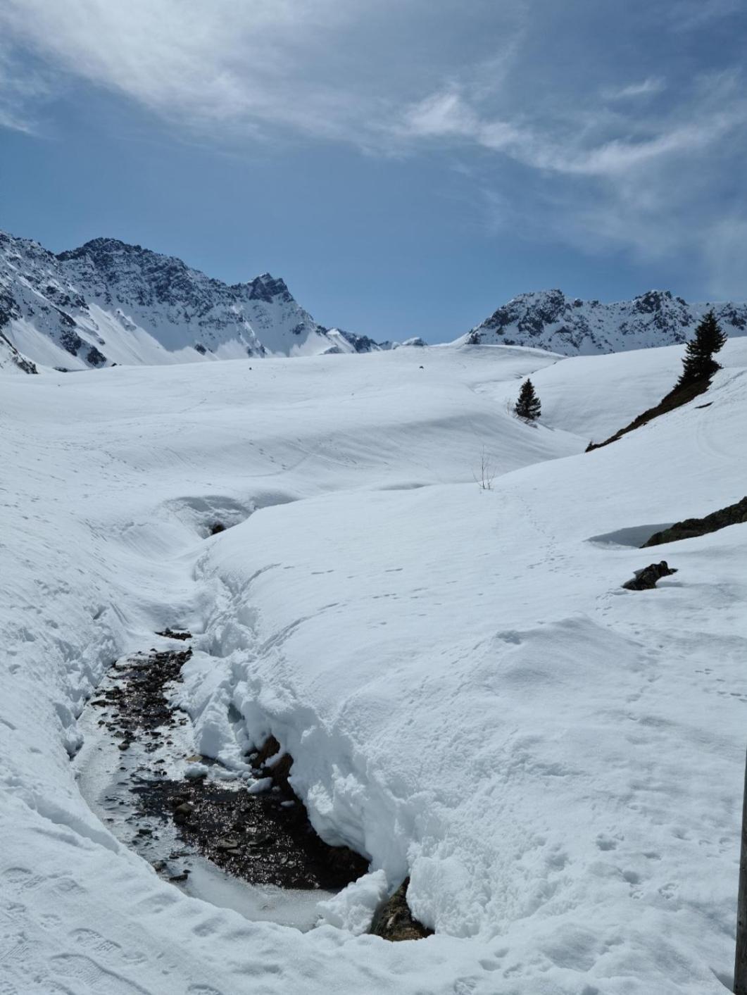 D'rock Arosa- Center Of Nightlife By Nature Switzerland * Arosa