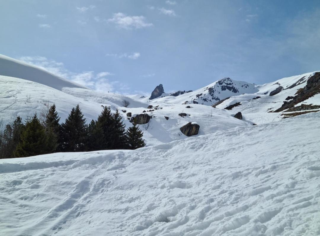D'rock Arosa- Center Of Nightlife By Nature Switzerland